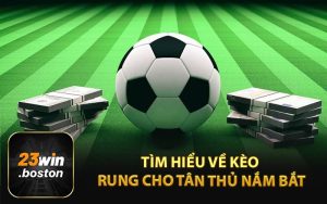 Tìm Hiểu Về Kèo Rung Cho Tân Thủ Nắm Bắt